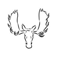 moose vector sketch