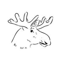 moose vector sketch