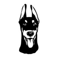 doberman dog vector sketch