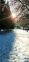 Landscape shot of the street on the winter day. Season photo