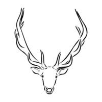 moose vector sketch