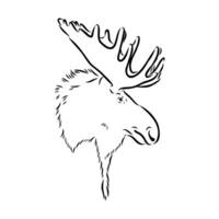 moose vector sketch