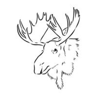 moose vector sketch