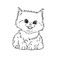 cartoon cat sketch vector