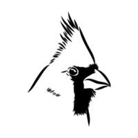 cardinal bird vector sketch