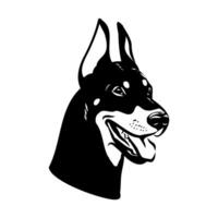 doberman dog vector sketch