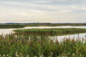 Landscape shot of the lake. Outdoors photo