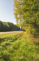 Landscape shot of the road on the village. Nature photo