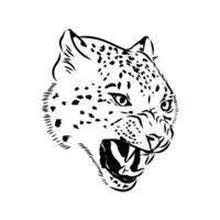 nieve leopardo vector bosquejo