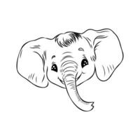 dibujos animados elefante vector bosquejo