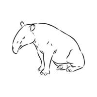 tapir vector sketch