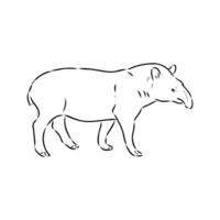 tapir vector bosquejo