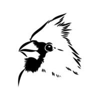 cardinal bird vector sketch