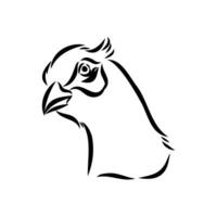 pheasant vector sketch