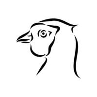 pheasant vector sketch