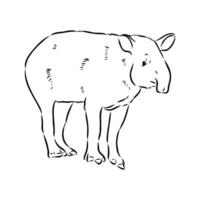 tapir vector sketch