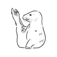 seal vector sketch