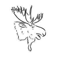 moose vector sketch