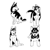 husky dog vector sketch