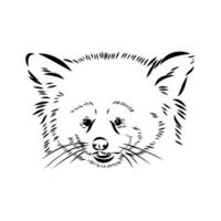 red panda vector sketch