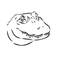 crocodile vector sketch