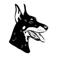 doberman dog vector sketch