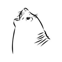 seal vector sketch