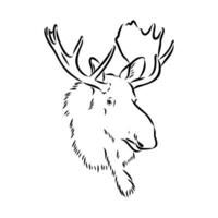 moose vector sketch