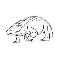 crocodile vector sketch