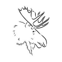 moose vector sketch