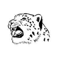 nieve leopardo vector bosquejo