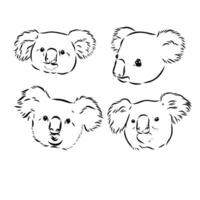 dibujo vectorial de koala vector