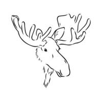 moose vector sketch