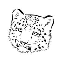 nieve leopardo vector bosquejo