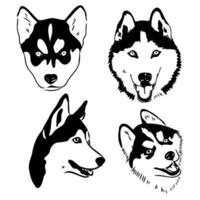 husky dog vector sketch