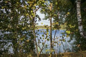 Landscape shot of the pond. Outdoors photo