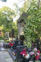 Moscow, Russia - 08.06.2023 - Memorials at novodevichy cemetery. History photo