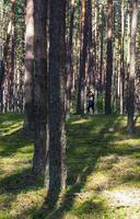 Shot of the young woman walking in the forest. Outdoors photo