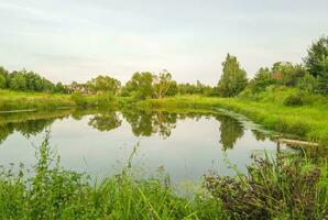 Landscape shot of the pond. Nature photo