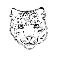 nieve leopardo vector bosquejo