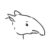 tapir vector sketch