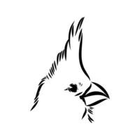 cardenal pájaro vector bosquejo