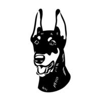 doberman dog vector sketch