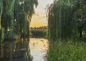 Landscape shot of the beautiful park. Outdoors photo