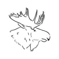 moose vector sketch