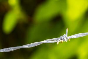 Barbed wire fence and spikes with green natural background Mexico. photo