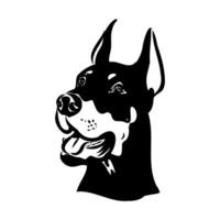 doberman dog vector sketch