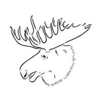 moose vector sketch