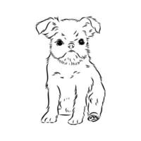 Brussels griffin dog vector sketch