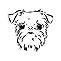 Brussels griffin dog vector sketch